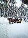 On a fabulous Xmas morning in Seefeld